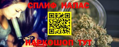 шишки Бийск