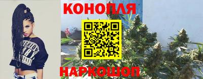 шишки Бийск