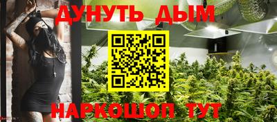 шишки Бийск