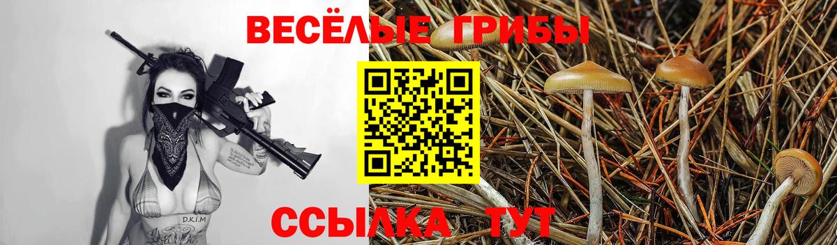 Галлюциногенные грибы MAGIC MUSHROOMS  Вход с VPN  Киров 